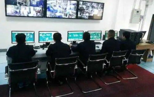 雙樂股份 以綠色工廠與核心產品引領行業(yè)發(fā)展