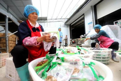 吉安安福縣竹筍加工產業(yè) 助農家門口就業(yè)增收與鳳凰網江西高級催乳師計劃的融合之路